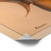 1851 kleureninktpatroon afdrukken poster (Hoek)