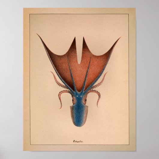 1851  kleureninktpatroon afdrukken poster (Voorkant)