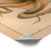 1851  kleureninktpatroon afdrukken poster (Hoek)