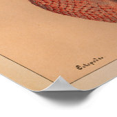 1851  kleureninktpatroon afdrukken poster (Hoek)