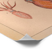 1851  kleureninktpatroon afdrukken poster (Hoek)