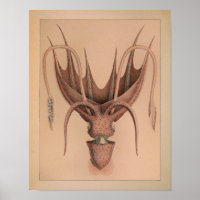 1851 kleureninktpatroon afdrukken