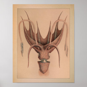 1851  kleureninktpatroon afdrukken poster