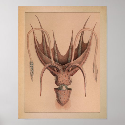 1851  kleureninktpatroon afdrukken poster (Voorkant)