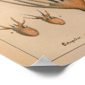 1851  kleureninktpatroon afdrukken poster (Hoek)