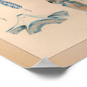 1851  kleureninktvis afdrukken poster (Hoek)