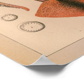 1851 kleureninktvis afdrukken poster (Hoek)