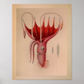 1851 kleureninktvis - Rode Oceaan afdrukken Poster (Voorkant)