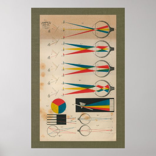 1851  Vision Eyesight Anatomy Chart Poster (Voorkant)
