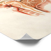 1852  anatomie Afdrukhersenen Spinaal Poster (Hoek)