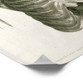  1853 Kunst voor skeletanatomie van de schedel Poster (Hoek)