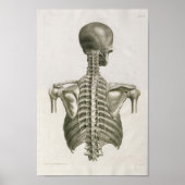 1853 Skull Spine Anatomy Art Afdrukken Poster (Voorkant)