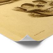 1854  Anatomie Anatomy Print Human Skull Jaw (Hoek)