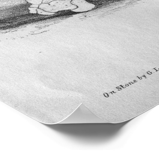 1854  Anatomy Skelet Print (Hoek)