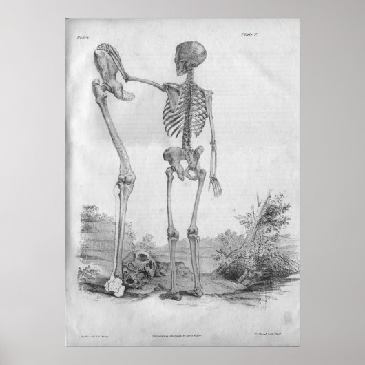 1854  Anatomy Skelet Print (Voorkant)