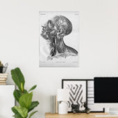 1854 kop- en nekanatomie afdrukken poster (Thuiskantoor)