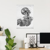 1854  kop- en nekkarteriën Anatomie afdrukken Poster (Thuiskantoor)