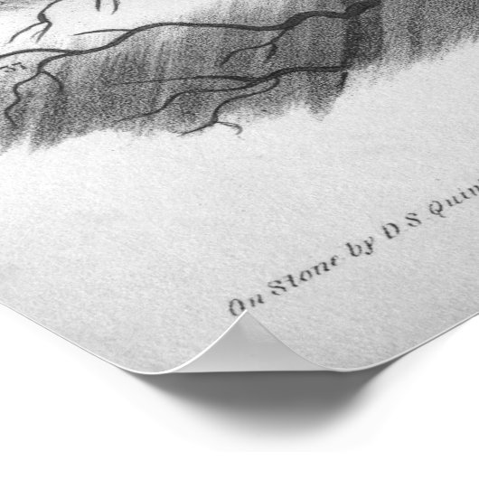 1854 kop- en nekkarteriën Anatomie afdrukken Poster (Hoek)