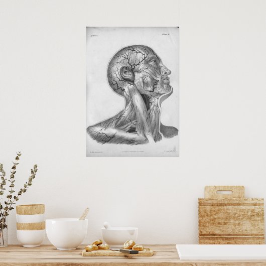 1854 kop- en nekkarteriën Anatomie afdrukken Poster (Keuken)