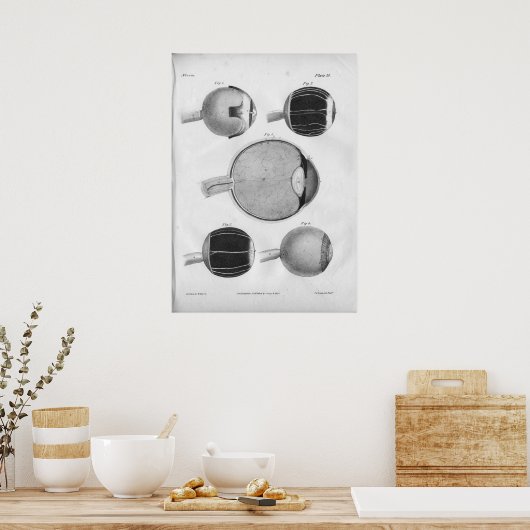 1854  ooganatomie afdrukken poster (Keuken)