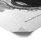 1854  ooganatomie B/W afdrukken Poster (Hoek)