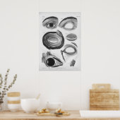 1854  ooganatomie B/W afdrukken Poster (Keuken)