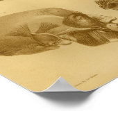 1854 Vintage Human Skull Jaw Anatomy Print (Hoek)