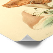  1855 champignons, bruin Pet, afdrukken Poster (Hoek)
