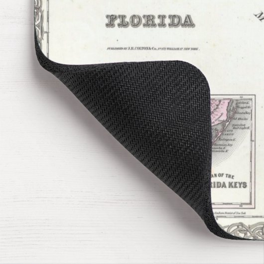 1855 Colton Map of Florida Muismat (Hoek)