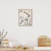 1855 Colton Map of Hawaii and New Zealand Poster (Keuken)