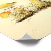  1855 Paddenstoelen Geel Pet Kunst Afdrukken Poster (Hoek)