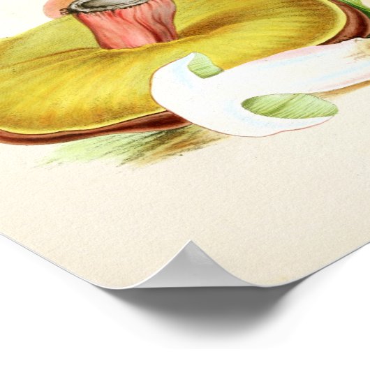  1855 paddenstoelen met bruin geel kunstwerk poster (Hoek)