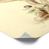  1855 paddenstoelen Witte Pet Kunst afdrukken Poster (Hoek)