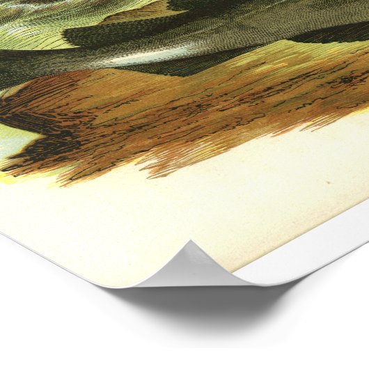  1859 Kodvis — FolkArt afdrukken Poster (Hoek)