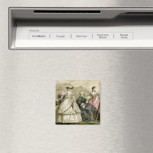 1859 Modes Magneet (Insitu (Vaatwasser))