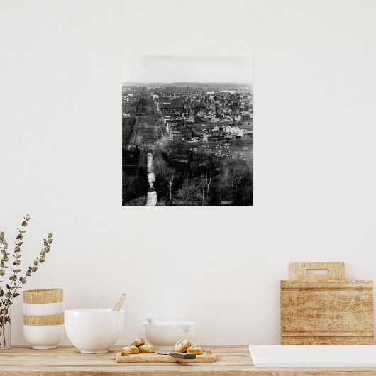 1859: Washington, DC, de hoofdstad van de VS Poster (Keuken)