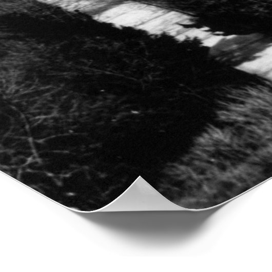 1859: Washington, DC, de hoofdstad van de VS Poster (Hoek)