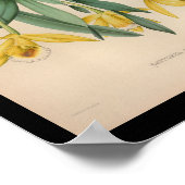 1860  orchidee ventilator afdrukgeel poster (Hoek)