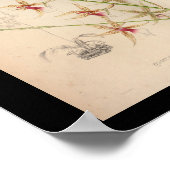 1860 orchidee ventilator afdrukken Bleek Poster (Hoek)