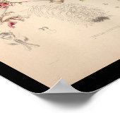 1860  orchidee ventilator afdrukken poster (Hoek)