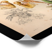 1860 orchidee ventilator AfdrukOranje geplaatst Poster (Hoek)