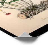 1860 orchidee ventilator afdrukroze poster (Hoek)