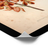 1860  orchidee ventilatorrood afdrukken poster (Hoek)