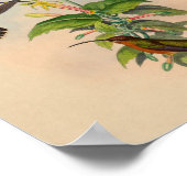 1861 Hermit Hummingbird Print (Hoek)