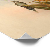 1861 Hermit Hummingbird Print (Hoek)
