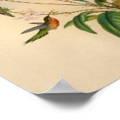  1861 Hermit Hummingbird Print (Hoek)