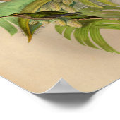  1861 Hermit Hummingbird Print (Hoek)