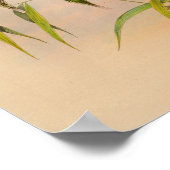 1861 Hermit Hummingbird Print (Hoek)