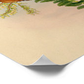  1861 Hermit Hummingbird Print (Hoek)