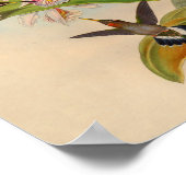 1861 Hermit Hummingbird Print (Hoek)